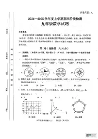 山东省临沂市临沭县2024-2025学年九年级上学期1月期末数学试题