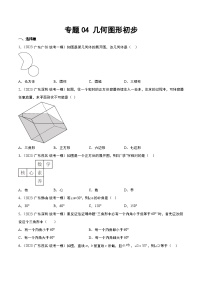 （广东专用）中考数学一轮复习分项汇编专题04 几何图形初步（2份，原卷版+解析版）