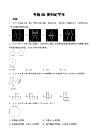 （广东专用）中考数学一轮复习分项汇编专题08 图形的变化（2份，原卷版+解析版）