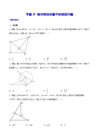 中考数学二轮培优重难点突破讲练专题29 轴对称综合题中的线段问题（2份，原卷版+解析版）