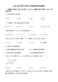 广东省广州市越秀区广州大学附属中学2023-2024学年八年级下学期期末数学试题（含答案）