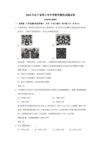 2024年辽宁省营口市中考数学模拟试题试卷（解析）