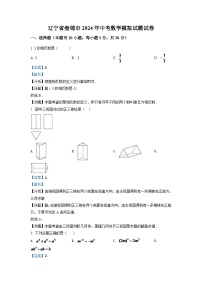 2024年辽宁省盘锦市数学模拟试题中考试卷（解析）