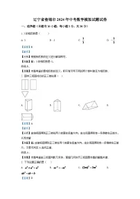 2024年辽宁省盘锦市数学模拟试题中考试卷（解析）