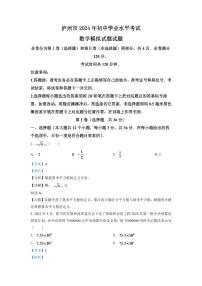 2024年四川省泸州市中考数学模拟试题（解析版）