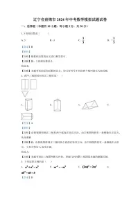 2024年辽宁省盘锦市数学模拟试题中考试卷（解析）