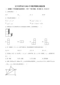 2024年辽宁省丹东市中考数学模拟试题试题（原卷版）