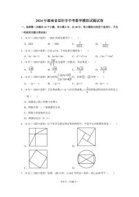 2024年湖南省益阳市中考数学模拟试题试卷（解析版）