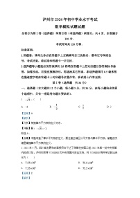 2024年四川省泸州市中考数学模拟试题（解析版）