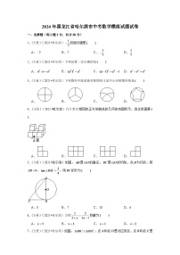 2024年黑龙江省哈尔滨市中考数学模拟试题试卷（解析版）