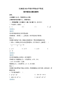 2024年江西省中考数学模拟试题（解析版）