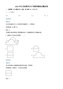 2024年江苏省泰州市中考数学模拟试题试卷（解析版）