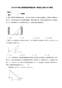 2025年中考复习浙教版数学模型训练--解直角三角形之母子模型