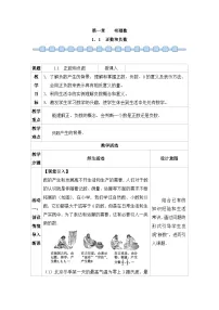 人教版（2024）七年级上册（2024）1.1 正数和负数教案设计
