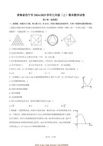 2024～2025学年青海省西宁市九年级(上)期末数学试卷(含答案)