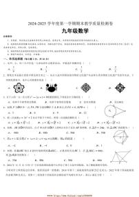 2024～2025学年广东省肇庆地区九年级上期末考试数学试卷(含答案)