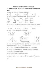 2024～2025学年陕西省宝鸡市扶风县九年级上期末数学试卷(含答案)