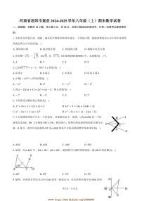 2024～2025学年河南省洛阳市嵩县八年级(上)期末数学试卷(含答案)