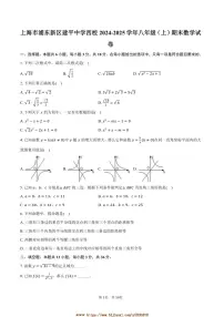 2024～2025学年上海市浦东新区建平中学西校八年级(上)期末数学试卷(含答案)