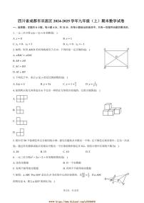 2024～2025学年四川省成都市双流区九年级(上)期末数学试卷(含答案)