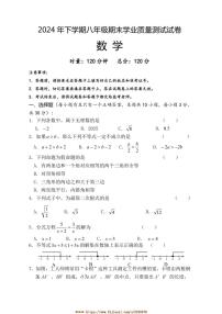 2024～2025学年湖南省株洲市攸县八年级上期末考试数学试卷(含答案)