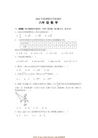2024～2025学年河南省南阳市桐柏县八年级上1月期末数学试卷(含答案)