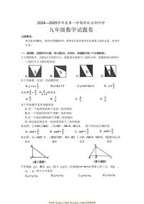 2024～2025学年安徽省淮北市九年级上1月期末数学试卷(含答案)