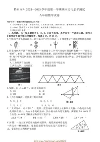 2024～2025学年贵州省黔东南苗族侗族自治州八年级上期末文化水平测试数学试卷(含答案)