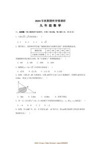 2024～2025学年河南省南阳市桐柏县九年级上1月期末数学试卷(含答案)