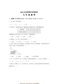 2024～2025学年河南省南阳市桐柏县九年级上1月期末数学试卷(含答案)