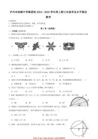 2024～2025学年四川省泸州市纳溪区纳溪中学集团校联考(月考)九年级上1月期末数学试卷(含答案)