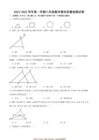 2024～2025学年甘肃省武威三中教育集团联片教研八年级上数学期末试卷(含答案)