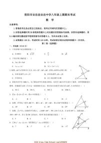 2024～2025学年四川省资阳市安岳县安岳中学八年级上1月期末数学试卷(含答案)