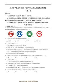2024～2025学年四川省泸州市泸县第二中学九年级上1月期末考试数学试卷(含答案)