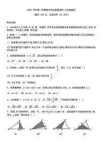 2025届上海市崇明区初三一模数学试卷含答案