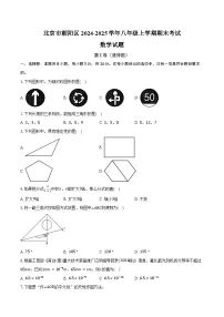 北京市朝阳区2024-2025学年八年级上学期期末考试数学试题