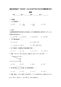 湖南省娄底市“思齐杯”2025年初中毕业学业考试模拟数学试题卷