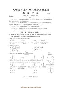 2024～2025学年四川省眉山市仁寿县九年级上期末教学质量监测数学试卷(含答案)