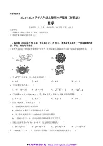 2024～2025学年浙教版八年级数学上册期末模拟卷试卷(含答案)