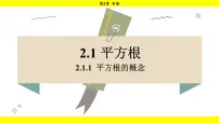 湘教版（2024）七年级下册（2024）第2章 实数2.1 平方根授课ppt课件