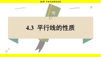 湘教版（2024）七年级下册（2024）4.3 平行线的性质多媒体教学ppt课件