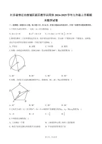 江苏省宿迁市宿城区新区教学共同体2024-2025学年九年级上学期期末数学试卷（含答案）
