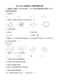 辽宁省抚顺市2024年中考数学模拟试题（原卷版）