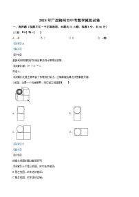 2024年广西柳州市中考数学模拟试卷（解析）