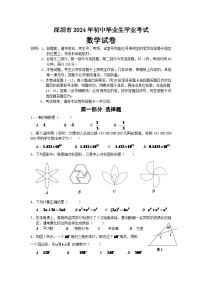 2024年深圳市中考数学模拟试题及答案