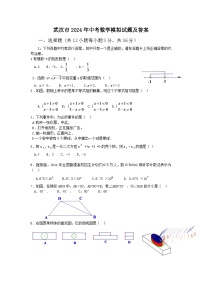 2024年武汉市中考数学模拟试题及答案