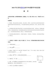 2024年江苏省苏州市中考数学模拟试题及答案