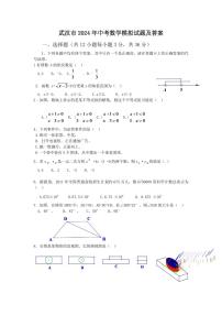 2024年武汉市中考数学模拟试题及答案