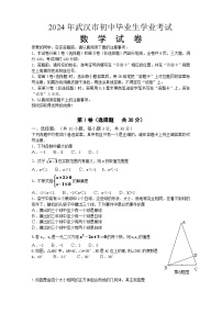 2024年武汉市中考数学模拟模拟试卷及答案