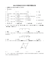 湖南省长沙市2024年中考数学模拟试卷及答案